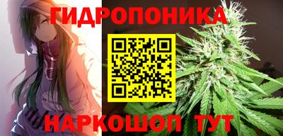 ECSTASY Тула