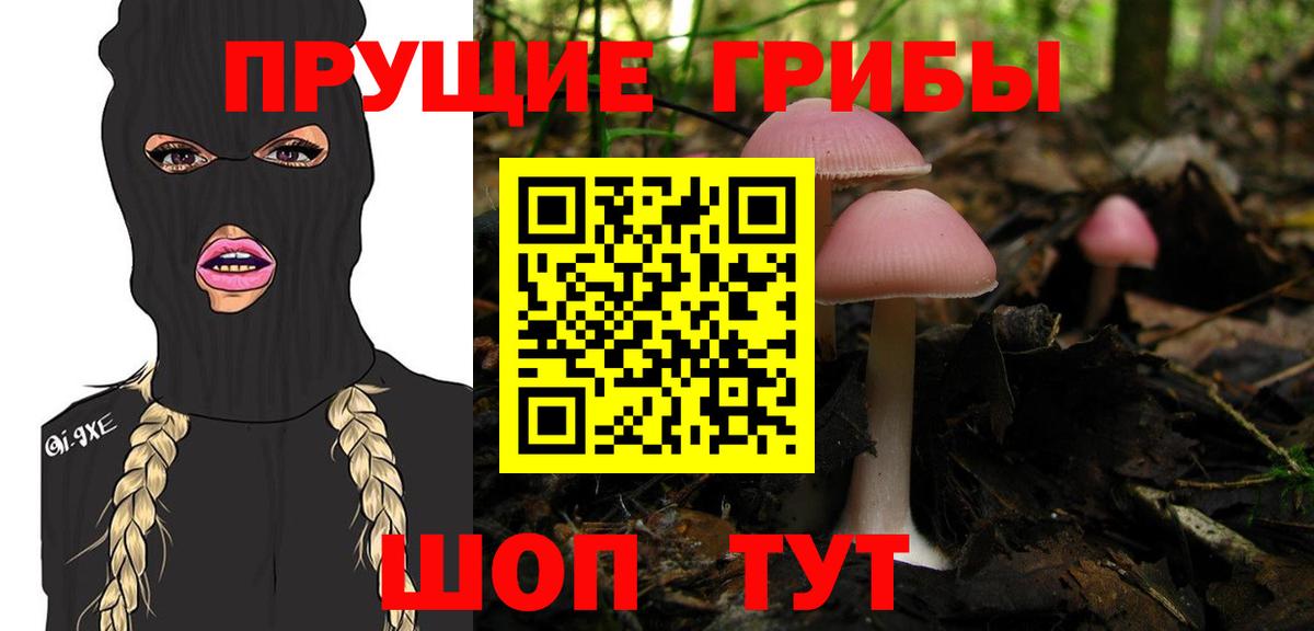 Псилоцибиновые грибы GOLDEN TEACHER  Вход с VPN  Зеленогорск 